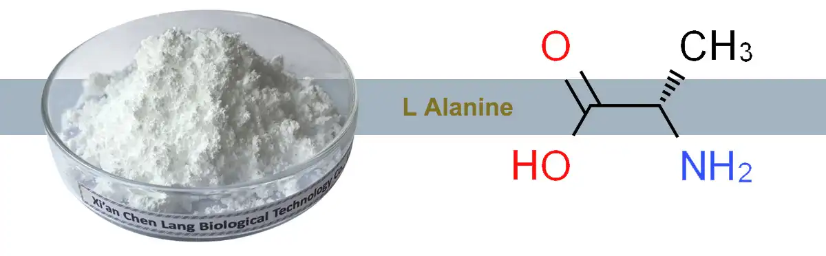 L Alanine Powder.jpg